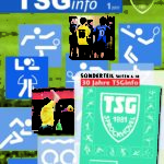 thumbnail of TSGinfo1-17_titel_120